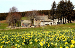 Gite Le Buisson - Spa and sauna